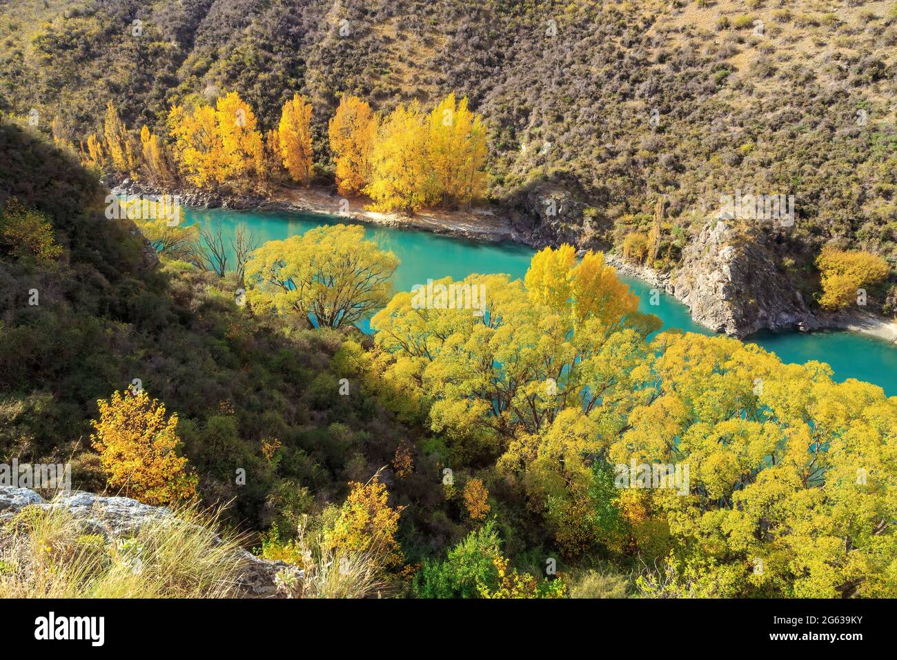 Les eaux turquoise de la rivière Kawarau dans l'île du Sud de la Nouvelle-Zélande, entourées d'arbres d'automne Banque D'Images