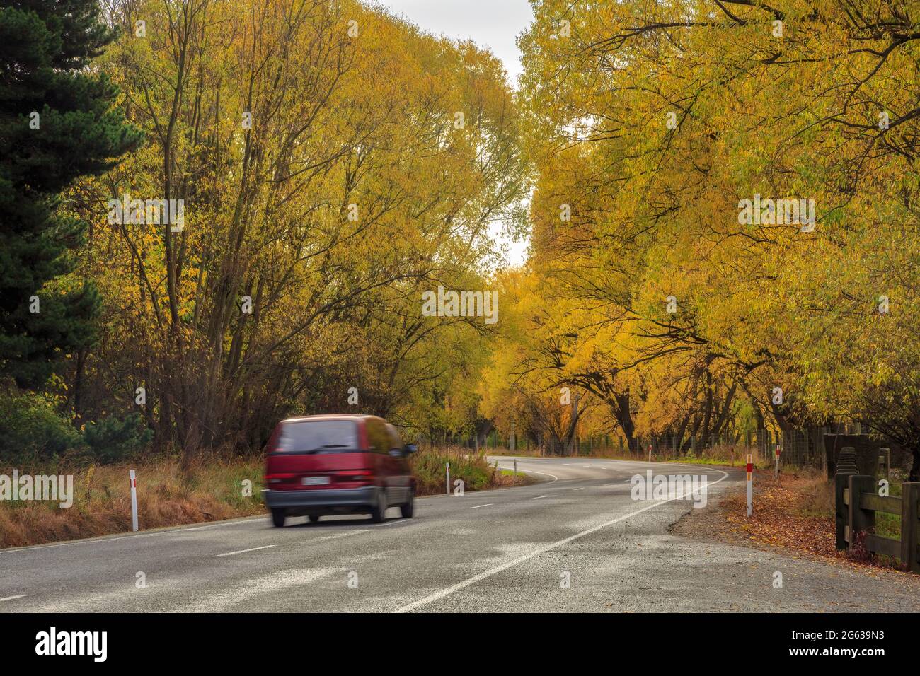 Une route entourée d'arbres d'automne dans la vallée de Cardrona, Otago, Nouvelle-Zélande Banque D'Images