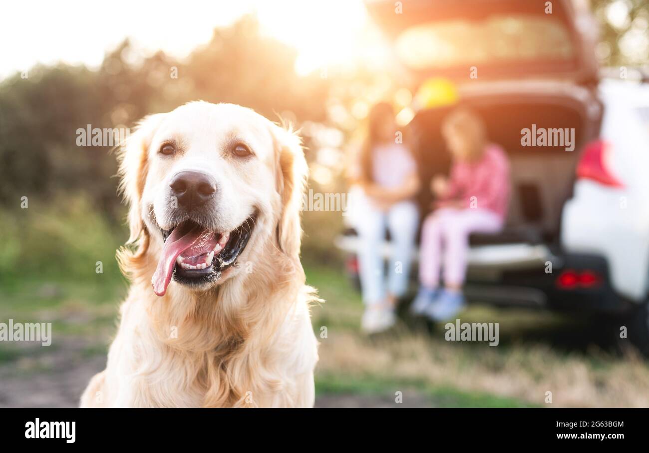 Golden Retriever chien au premier plan et les filles dans le coffre de voiture ouvert se reposant sur la nature au coucher du soleil Banque D'Images