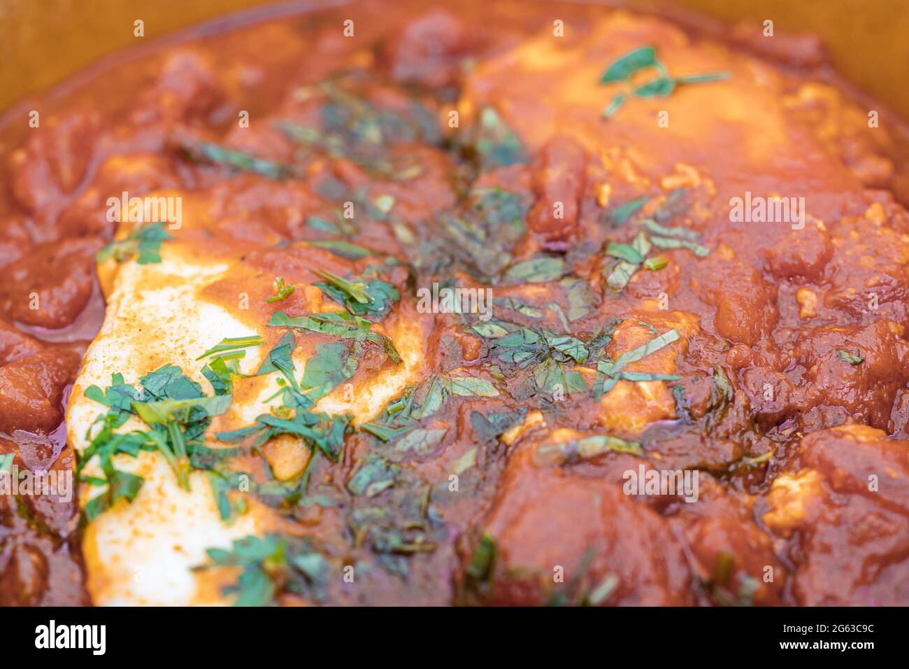 Shakshouka - plat maghrébine aux œufs pochés et à la sauce tomate Banque D'Images