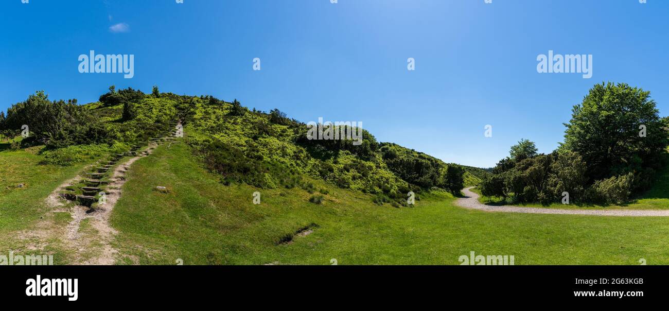 panorama d'un sentier de randonnée et d'un escalier menant au cœur de la lande verte et du paysage forestier Banque D'Images