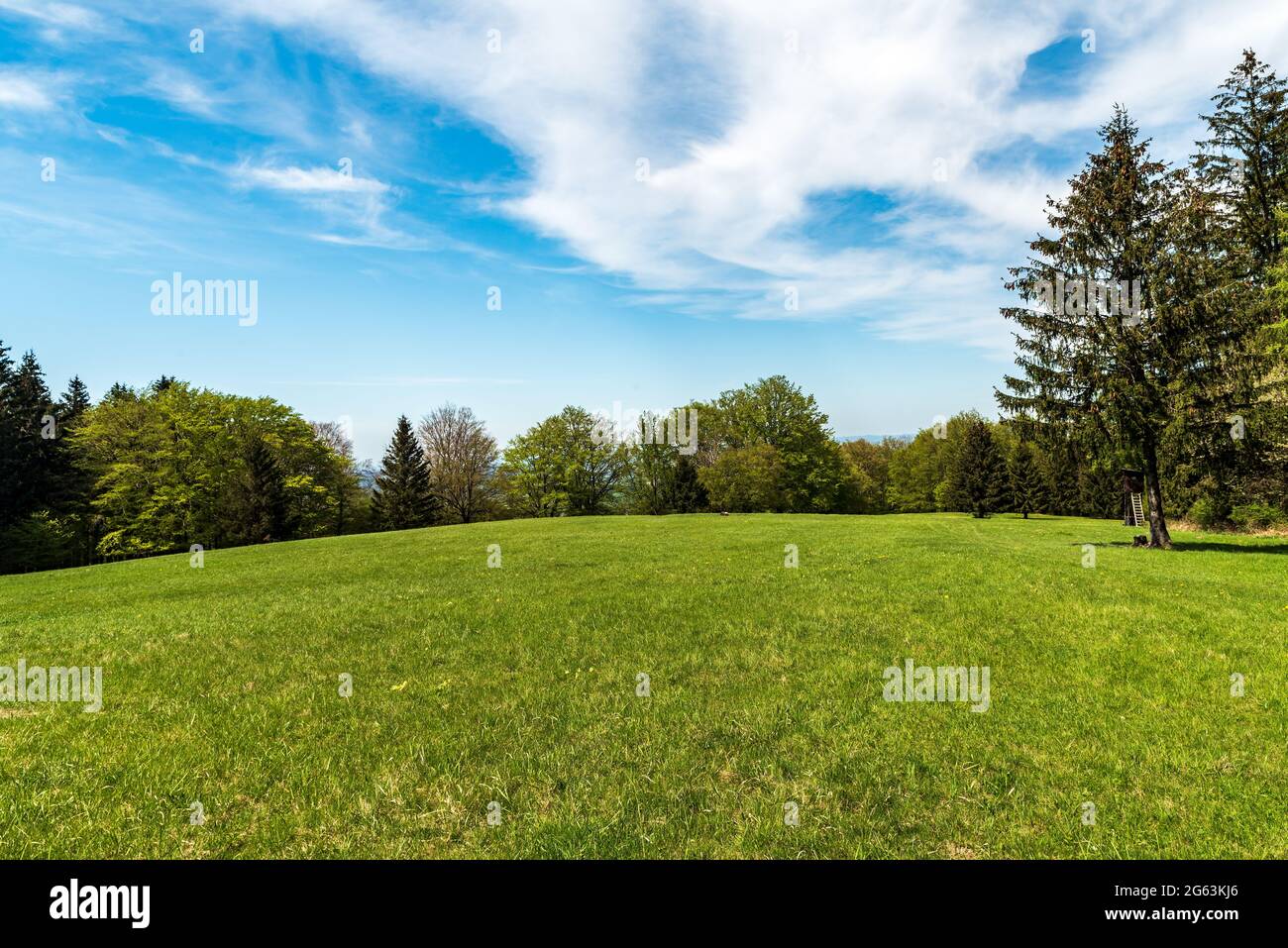 Pré de printemps vert frais avec arbres autour et ciel bleu avec peu de nuages au-dessus du village de Javornik dans les montagnes de Bile Karpaty en République tchèque Banque D'Images