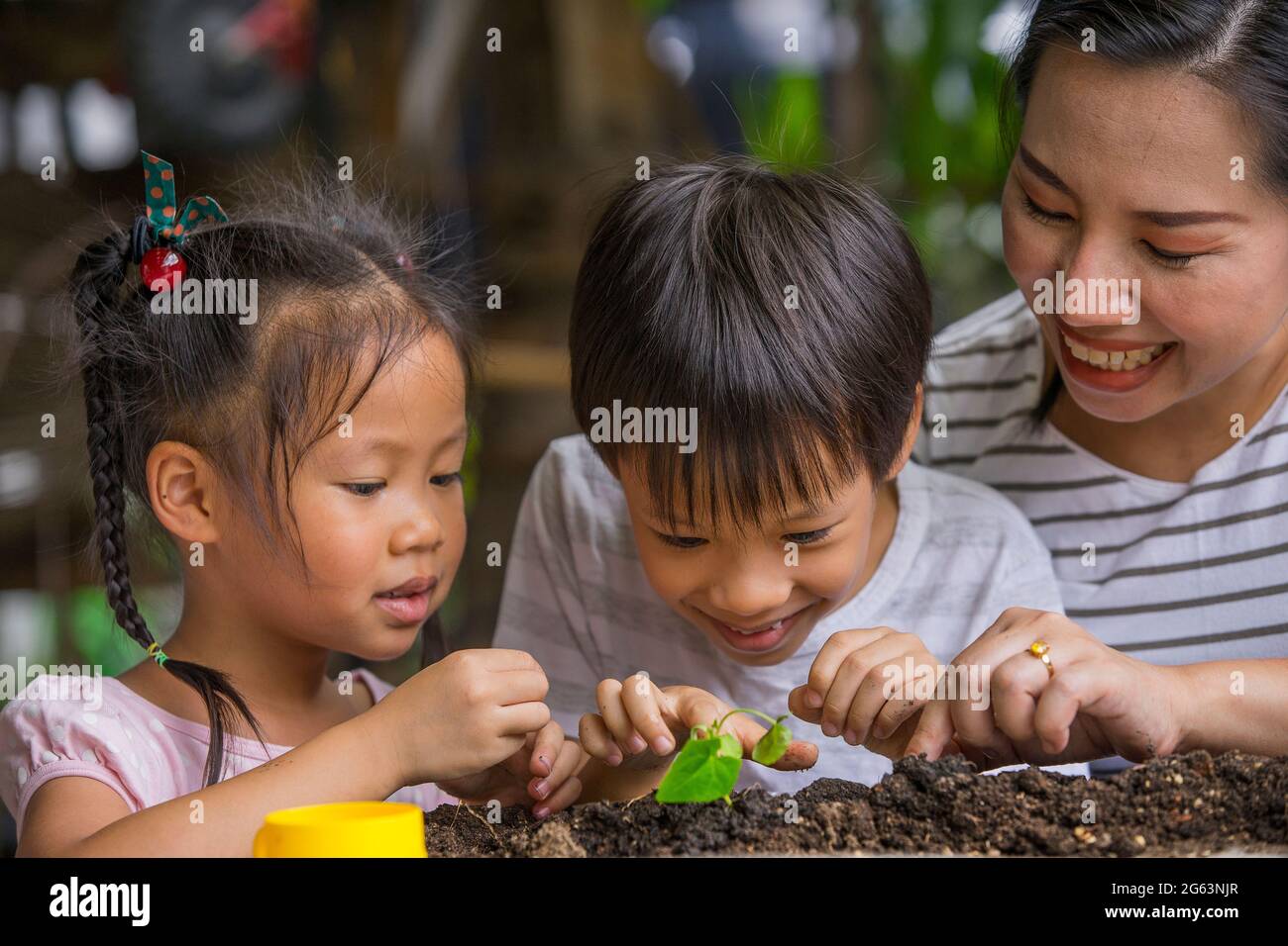 La mère asiatique et ses enfants jardinent ensemble. Printemps et loisirs, la famille pousse des fleurs ensemble. Passe-temps maison pour toute la famille, divertissement avec enfant Banque D'Images