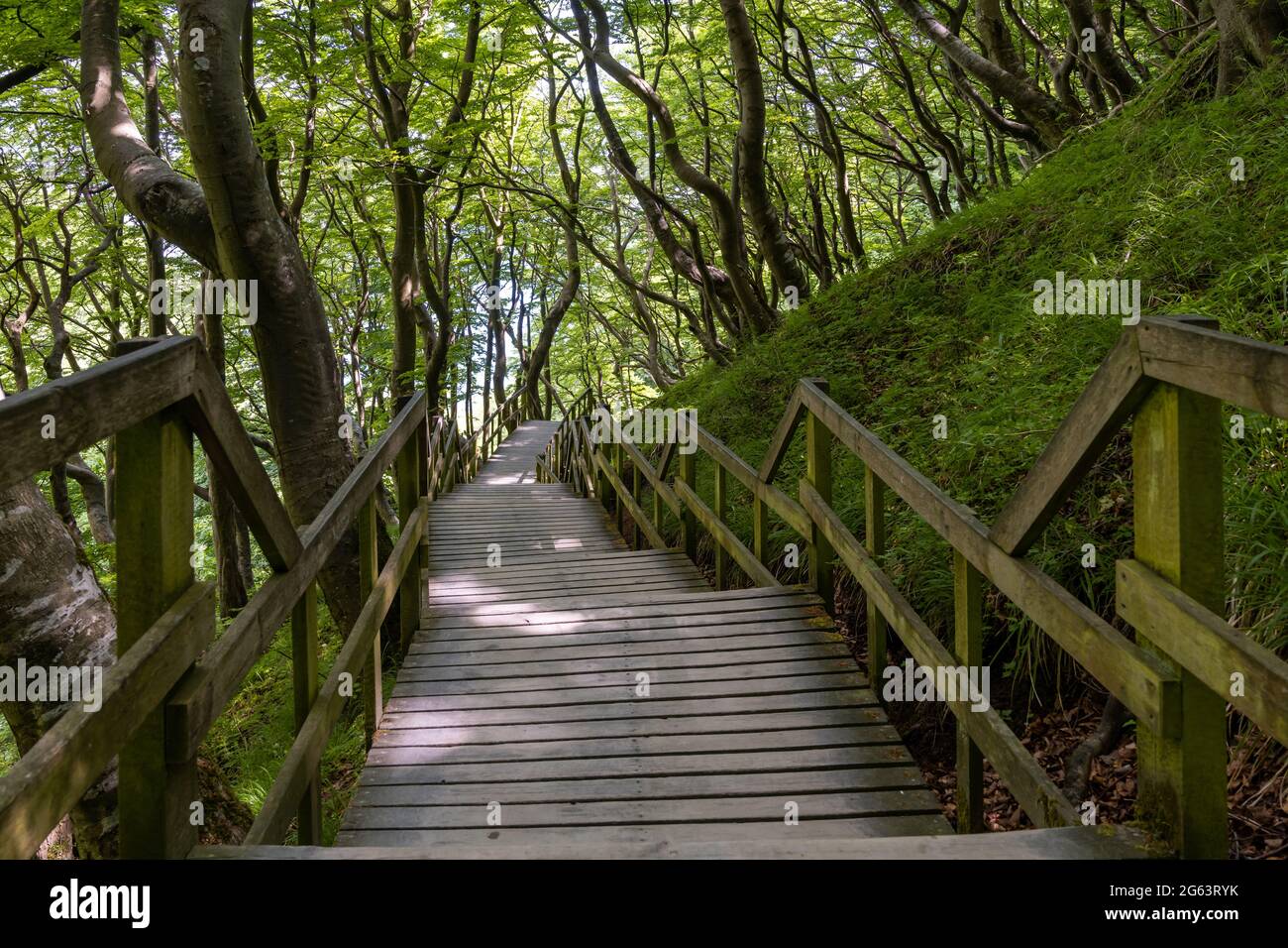 Une longue promenade en bois et des escaliers menant à l'océan dans une forêt verdoyante luxuriante Banque D'Images