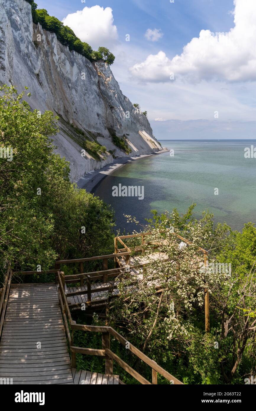 Une vue verticale d'une longue promenade en bois et des escaliers qui mènent à l'océan dans une forêt verdoyante et luxuriante avec des falaises de pierre de roche Banque D'Images