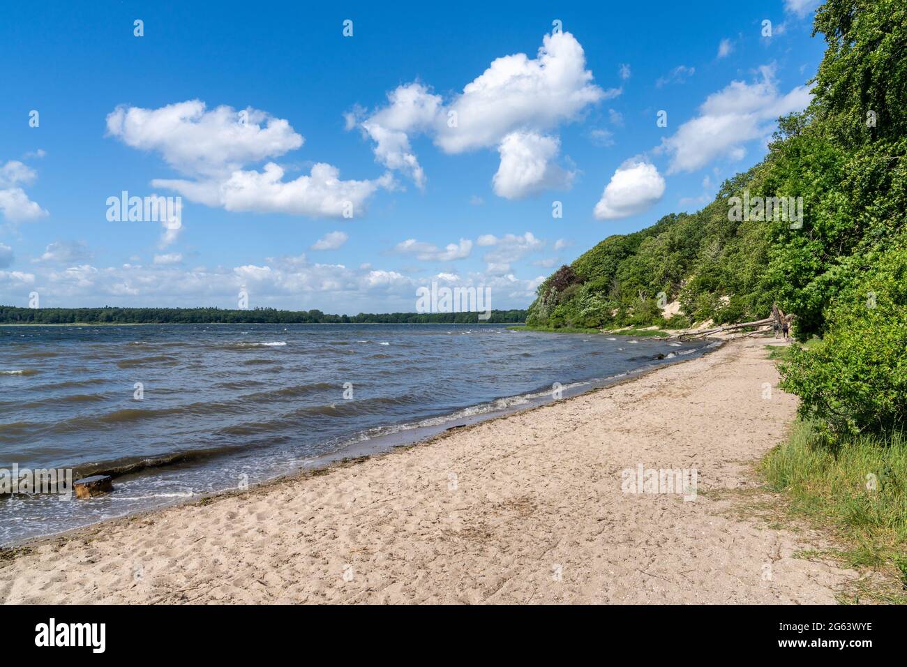 Vue sur le fjord de Roskilde avec une plage de sable et une forêt sur le rivage Banque D'Images