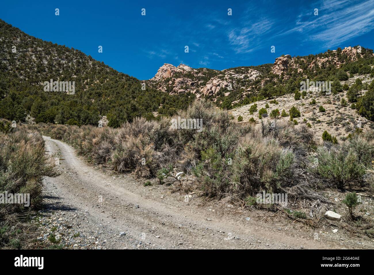 Formations rocheuses, forêt de pinyon-genévrier, broussailles, massif de Sawtooth Mountain, chemin Miller Canyon, House Range, Sévier Desert, Utah, États-Unis Banque D'Images