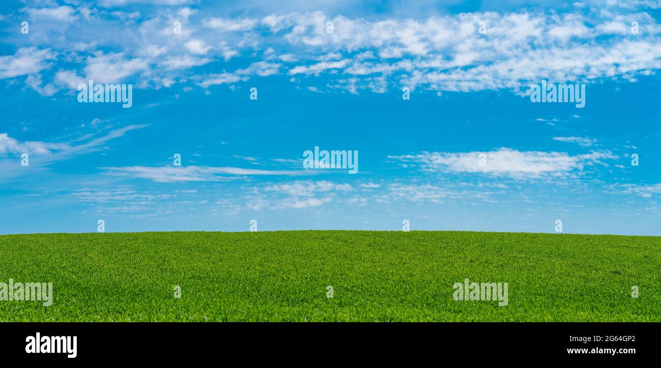 Colline verte avec des nuages rêveux et ciel bleu en arrière-plan. Banque D'Images
