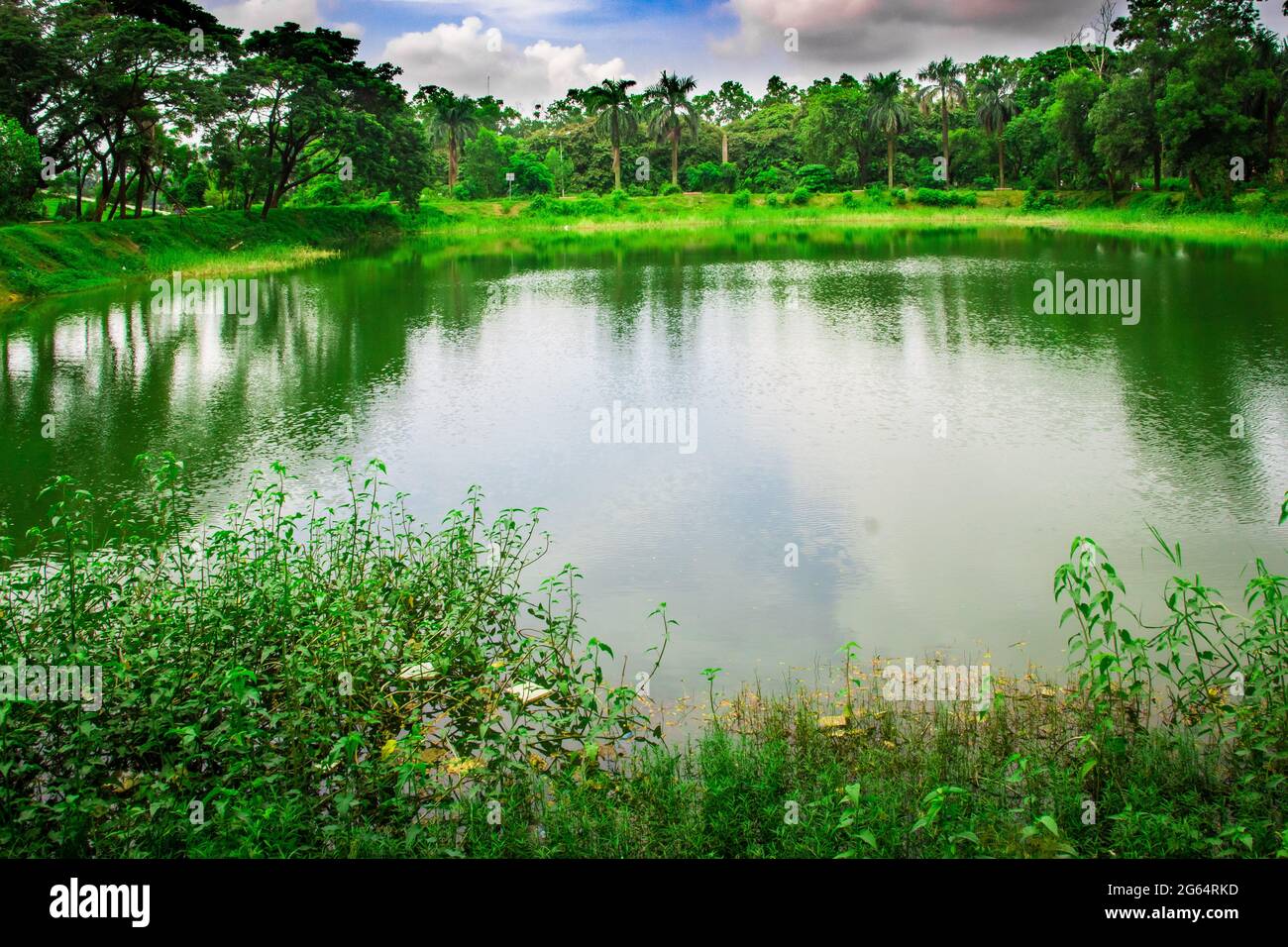 Un étang dans la nature verte tranquille. J'ai pris cette photo le 11 août 2018, à Dhaka, au Bangladesh, en Asie du Sud Banque D'Images