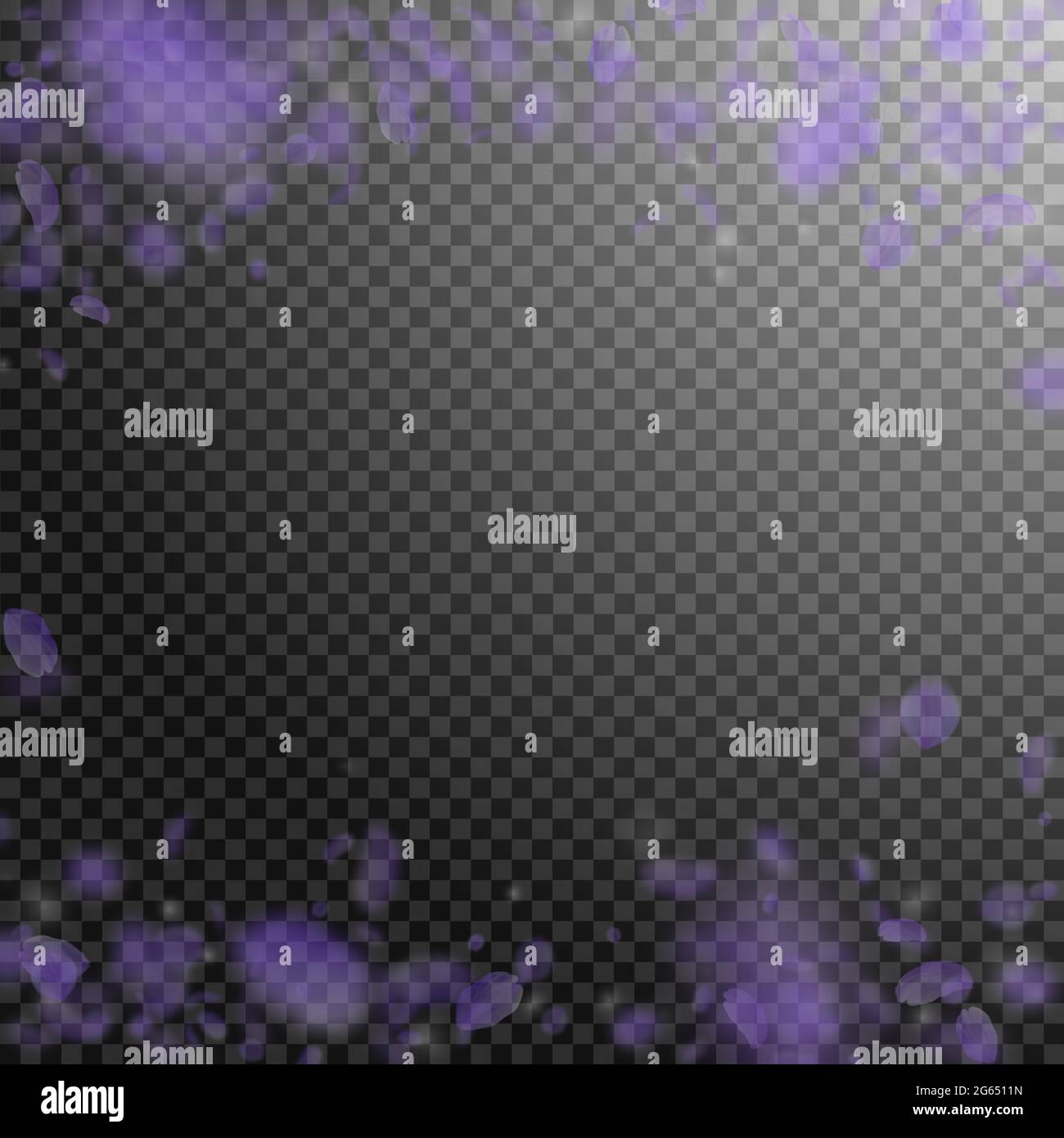 Pétales de fleurs violettes tombant. Précieuses fleurs romantiques tombant de pluie. Pétale volante sur fond carré transparent. Amour, romance concept. Beaut Illustration de Vecteur