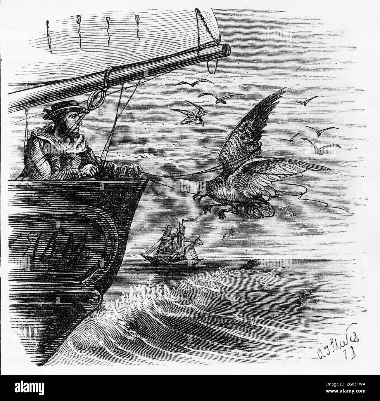 Gravure d'un voilier enrageant des pigeons de cap depuis la poupe d'un voilier, vers 1880 Banque D'Images