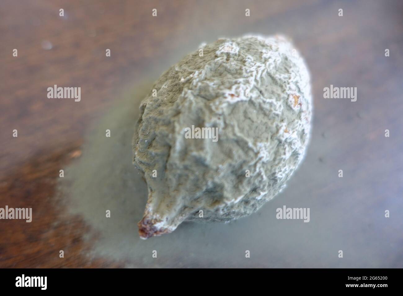 citron moisi Banque D'Images