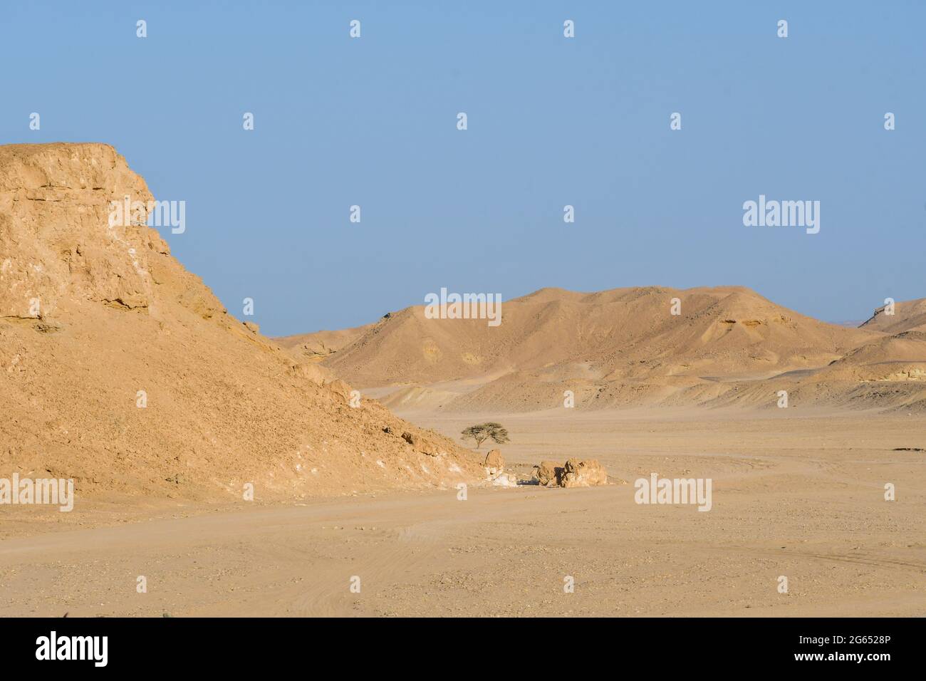 Arbre et collines dans le désert Banque D'Images