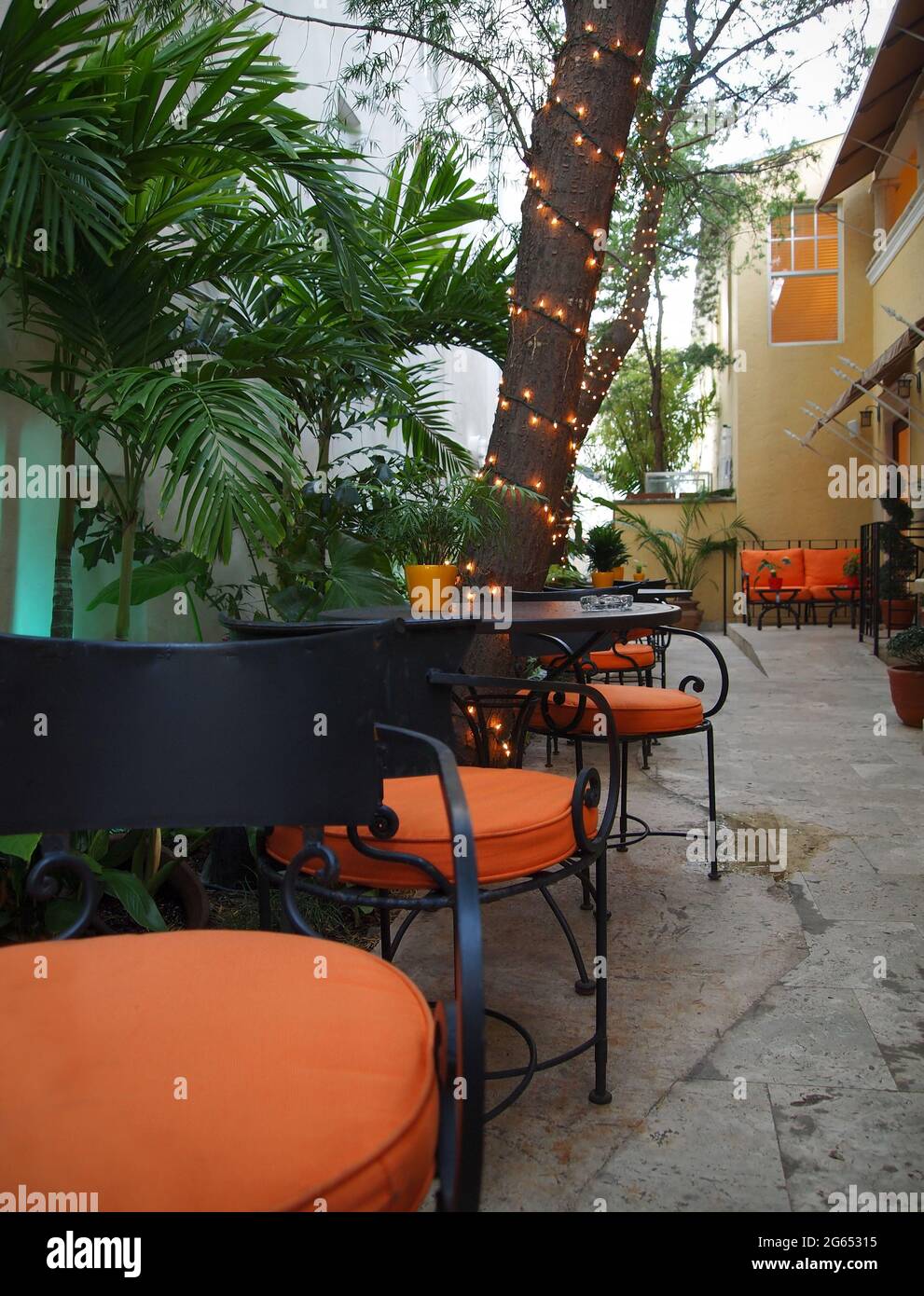 Un calme, caché loin, charmant petit café extérieur, coin repas avec palmiers et lumières scintillantes, pour un emplacement romantique et isolé. Banque D'Images
