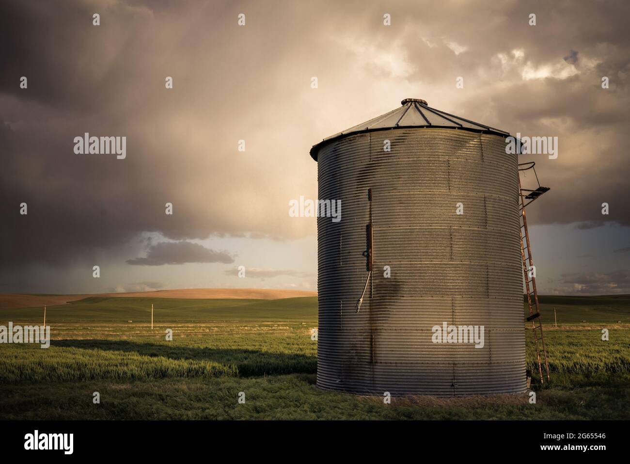 Vue sur le silo de céréales industriel de la ferme de blé de l'État de Washington Palouse Banque D'Images