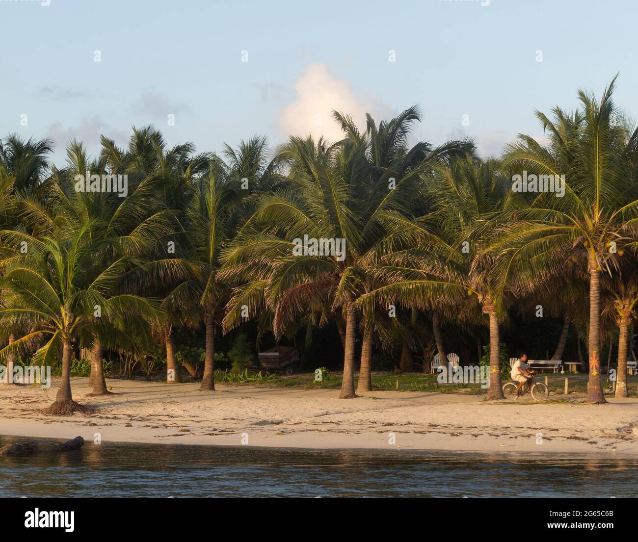 Un homme monte un vélo le long de la plage. Banque D'Images