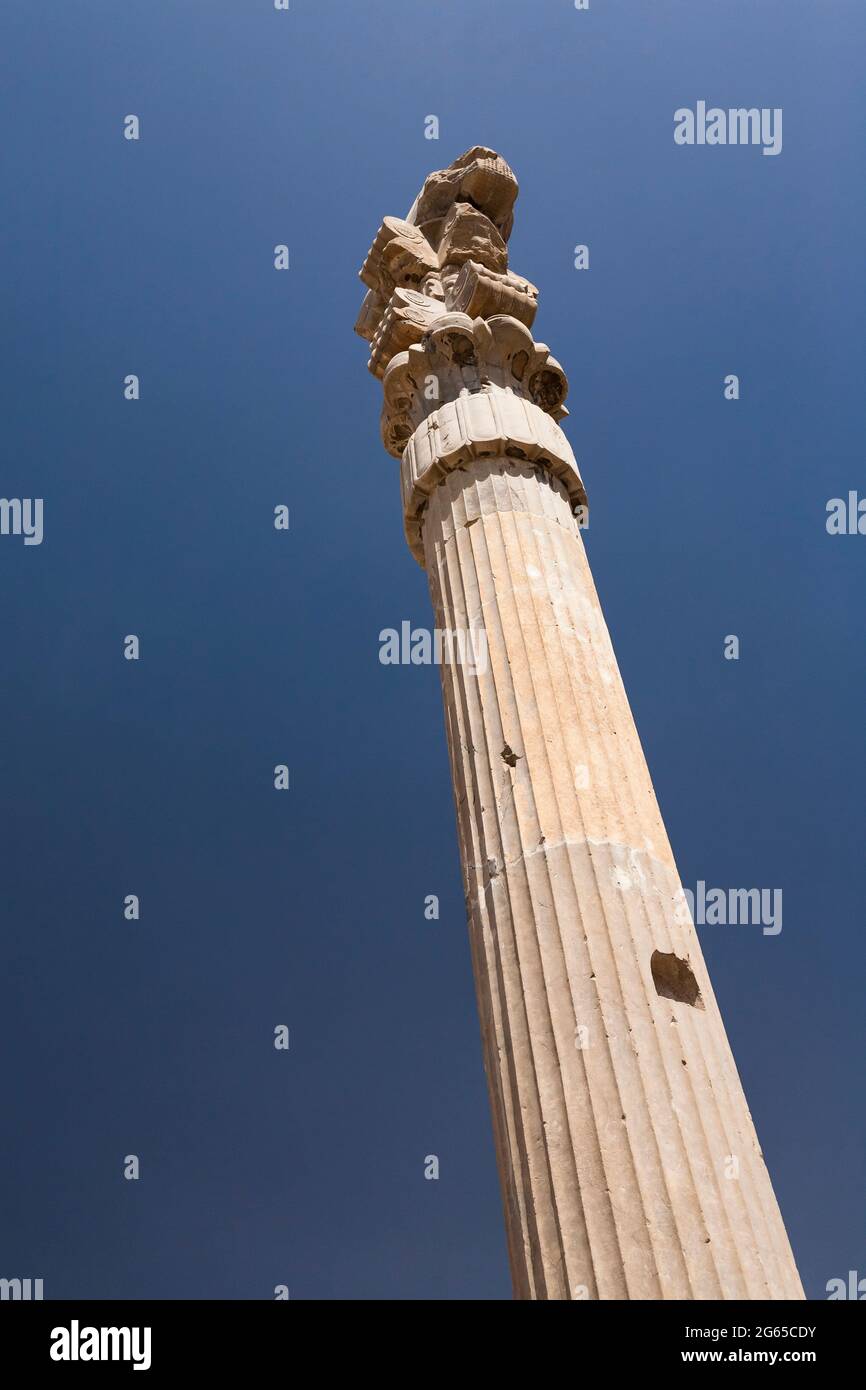 Persepolis, immense pilier en pierre, hall de cent colonnes, capitale de l'empire achéménide, province de Fars, Iran, Perse, Asie occidentale, Asie Banque D'Images