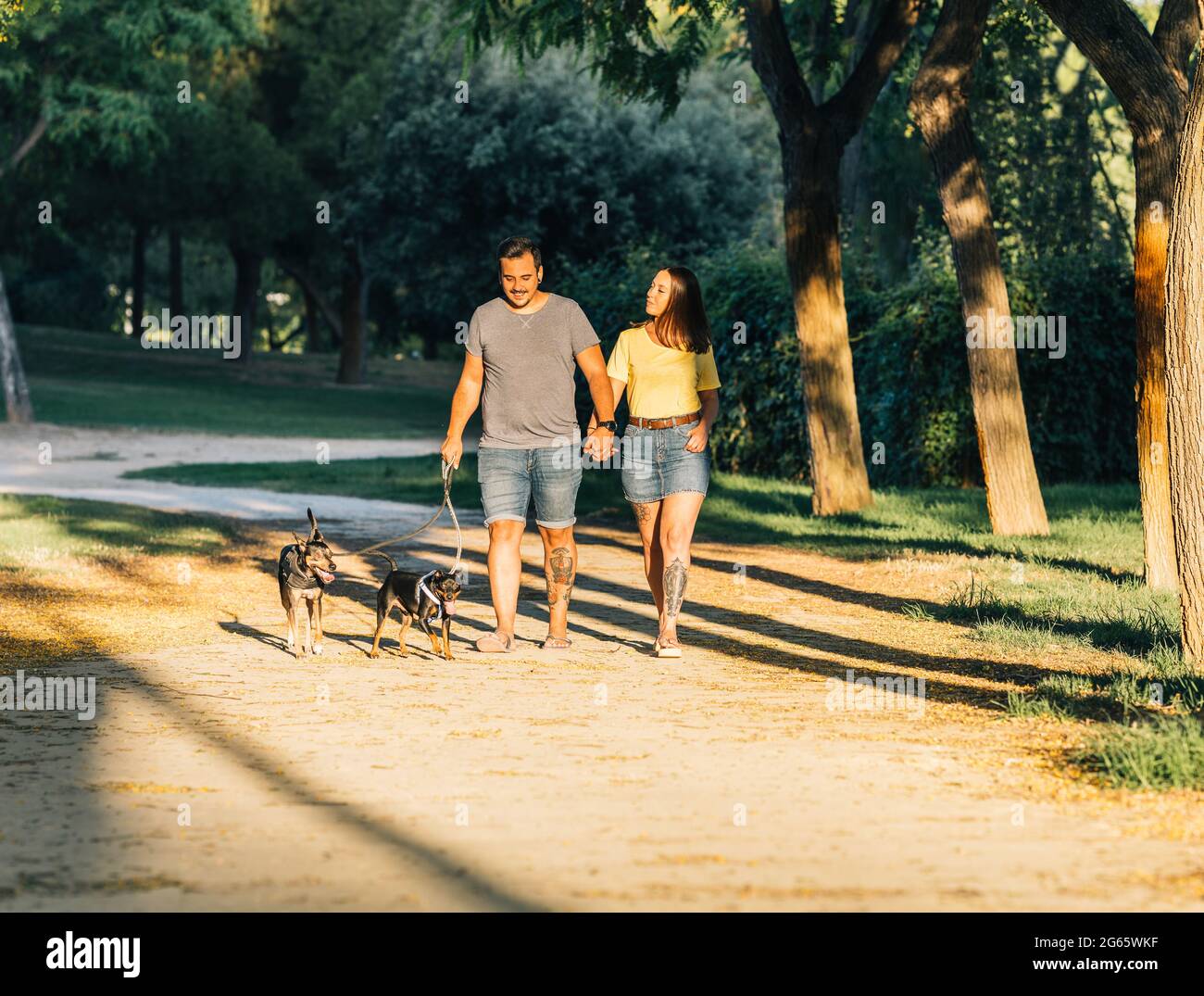 Couple tenant les mains marchant leurs chiens Banque D'Images