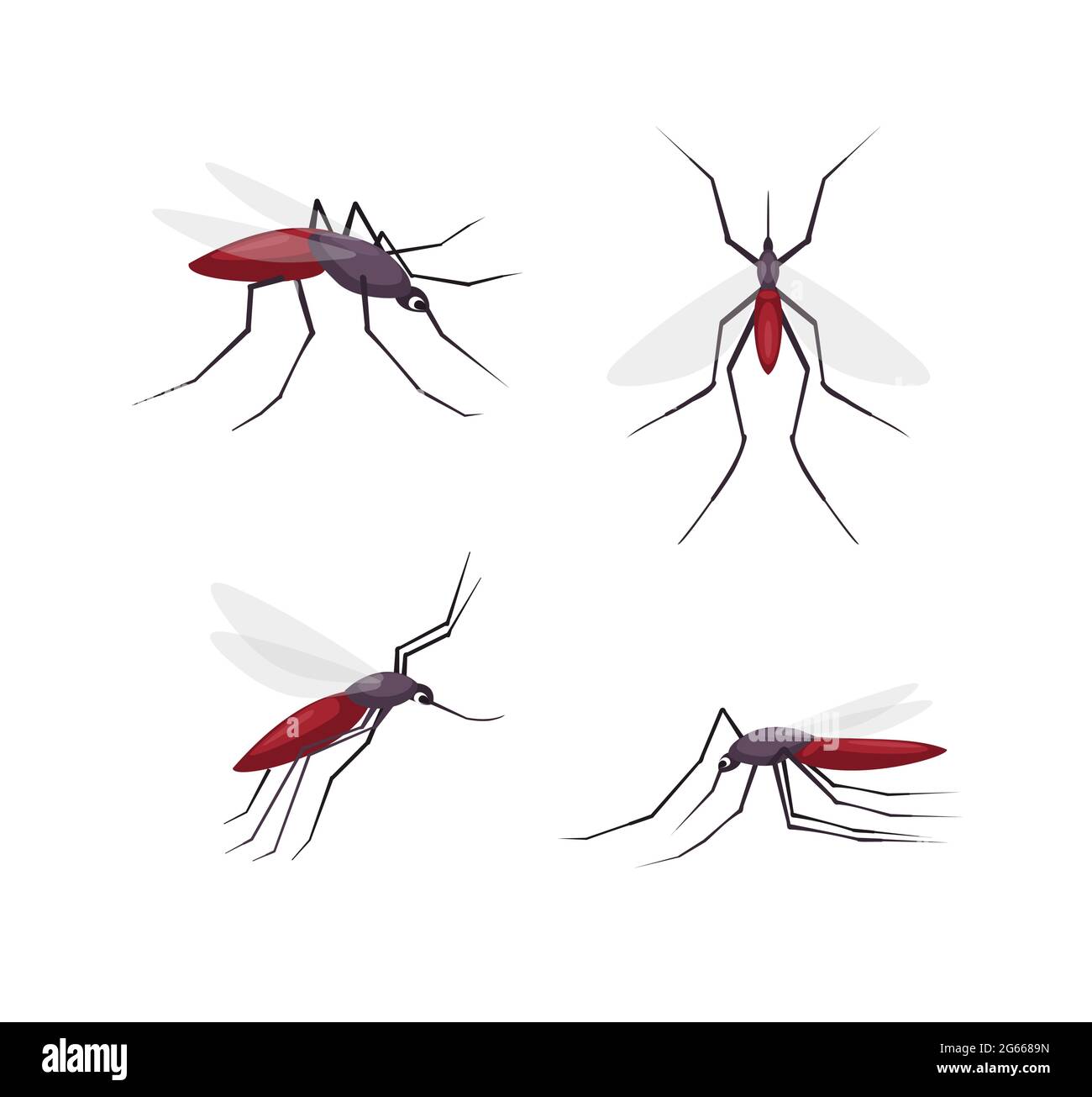 Jeu d'illustrations vectorielles couleur détaillées de la bande dessinée de Mosquitos. Plusieurs vues sur les insectes Illustration de Vecteur