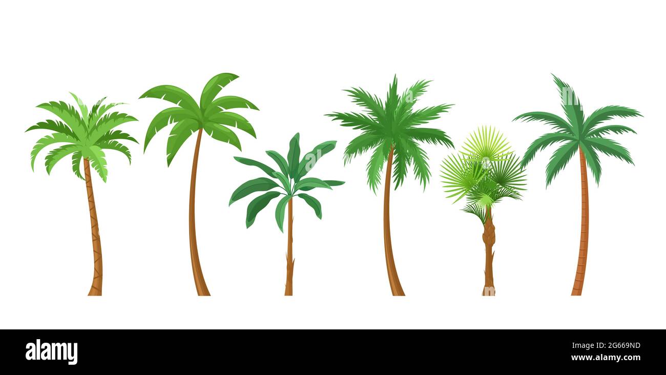 Jeu d'illustrations vectorielles couleur plates Palm Trees Illustration de Vecteur