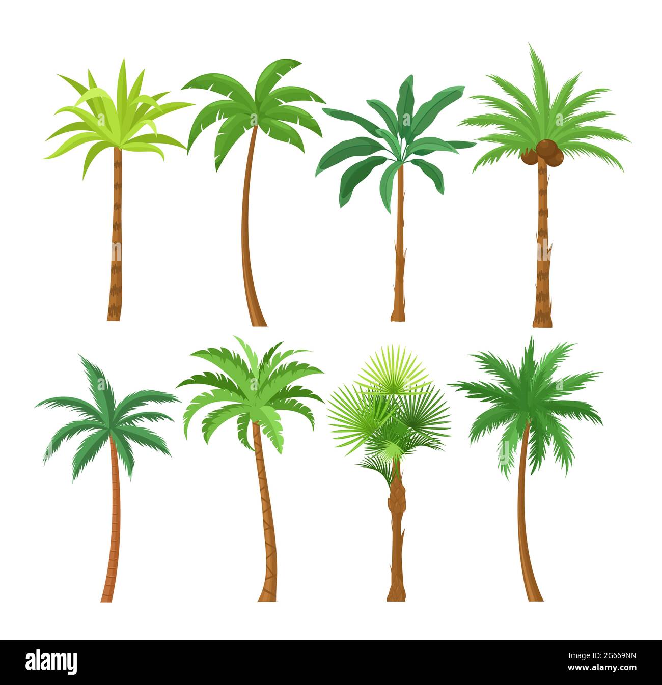 Jeu d'illustrations vectorielles plates Palm Trees. Ensemble d'éléments de conception isolés de plantes de plage exotiques. Collection de branches et de troncs de dessin animé à feuilles vertes Illustration de Vecteur