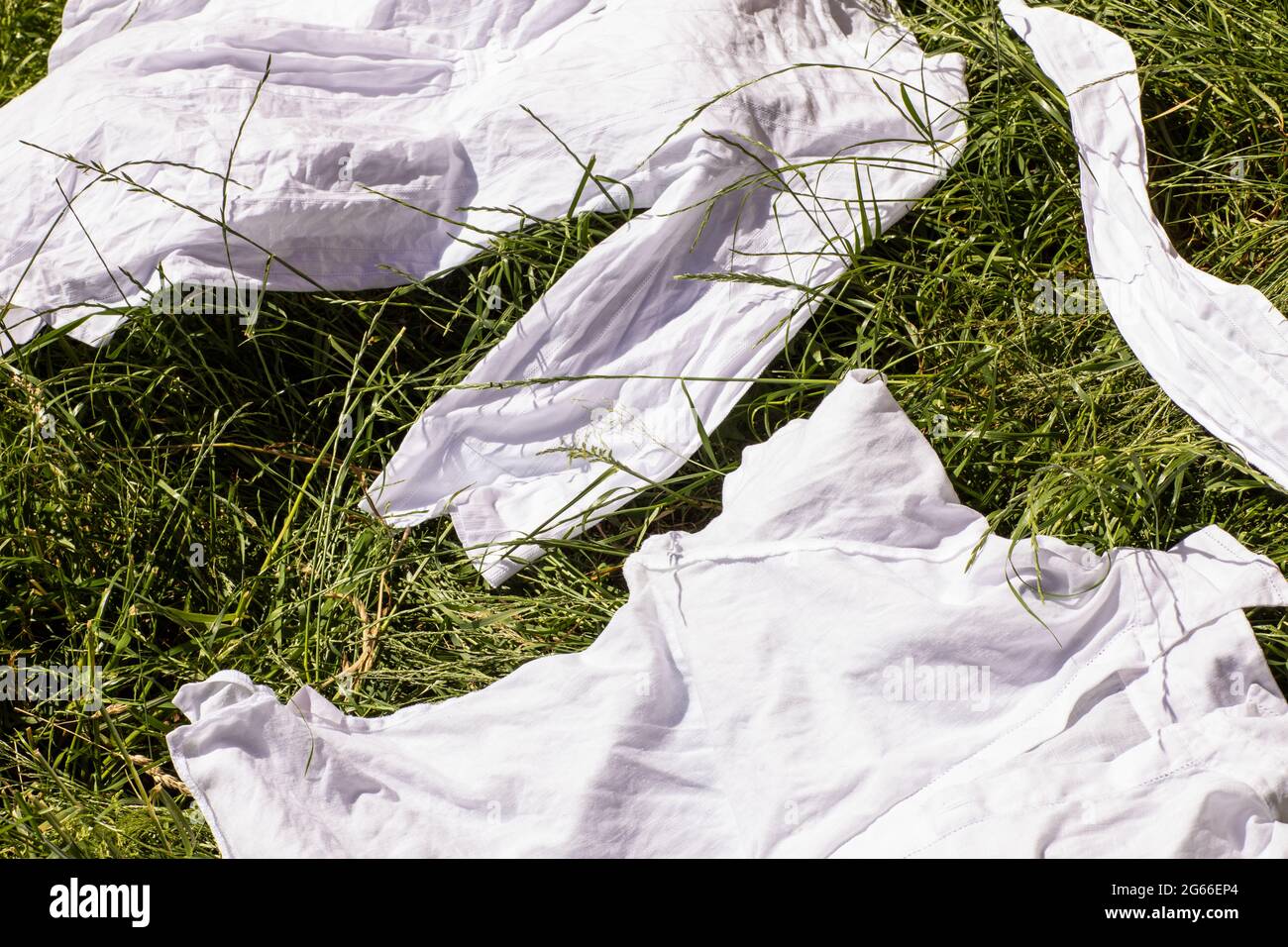 Un javellisant naturel, un blanchiment écologique et l'élimination des taches des vêtements blancs en posant le linge frais à plat au soleil pour les blanchir et les nettoyer Banque D'Images