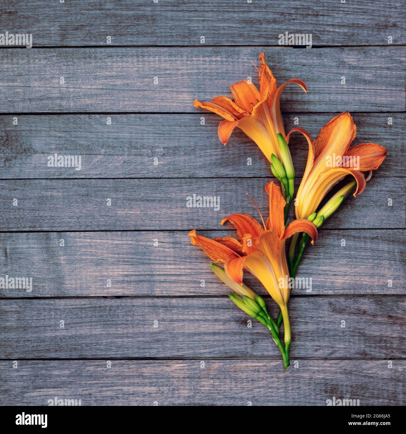 Arrangement de fleurs d'été. Bouquet de lys lumineux sur fond de bois avec espace pour le dessin. Banque D'Images