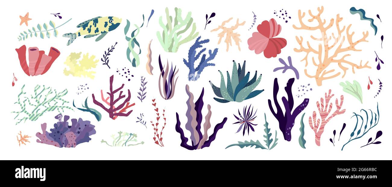Les habitants du monde sous-marin, la flore et les éléments de la faune. Algues, récif de corail, varech. Illustration de Vecteur
