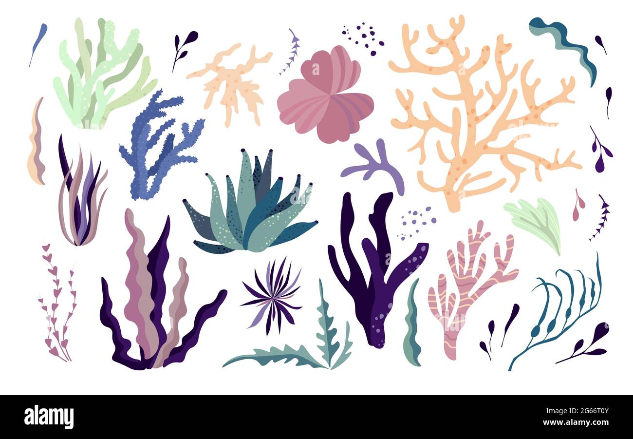 Les habitants du monde sous-marin, la flore et les éléments de la faune. Algues, récif de corail, varech. Illustration de Vecteur