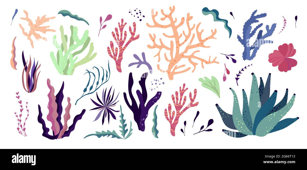 Les habitants du monde sous-marin, la flore et les éléments de la faune. Algues, récif de corail, varech. Illustration de Vecteur