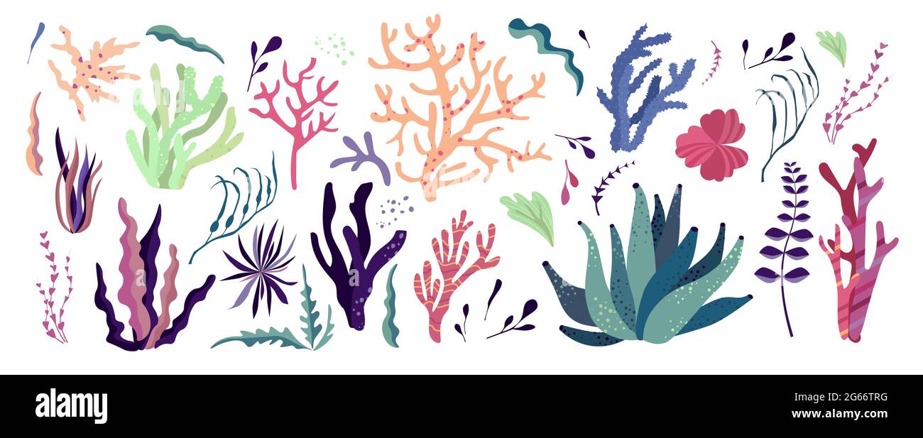 Les habitants du monde sous-marin, la flore et les éléments de la faune. Algues, récif de corail, varech. Illustration de Vecteur