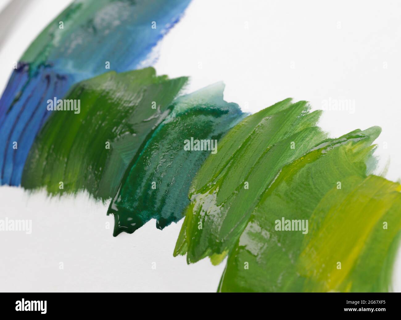 nuances de peinture verte et bleue sur une feuille blanche. Banque D'Images