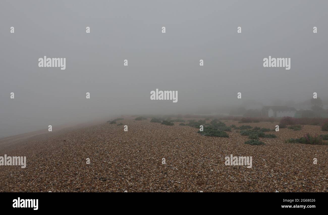 Une matinée brumeuse sur les manteaux du sud du Royaume-Uni en juillet 2021. Banque D'Images