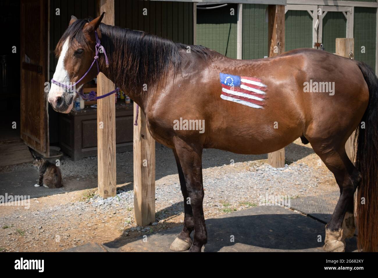 Adairsville, GA, États-Unis. 3 juillet 2021. Les activités de la Journée de l'indépendance sont fortes au cours du week-end du 4 juillet dans le Sud américain. Aujourd'hui, la peinture du drapeau a été l'une des activités préférées et la peinture à cheval se poursuit à l'hôtel Barnsley à Adairsville, en Géorgie, où le week-end se termine par un dîner américain et des feux d'artifice le dimanche pourrait. Credit: Jodie Castellani / Alamy Live News. Banque D'Images