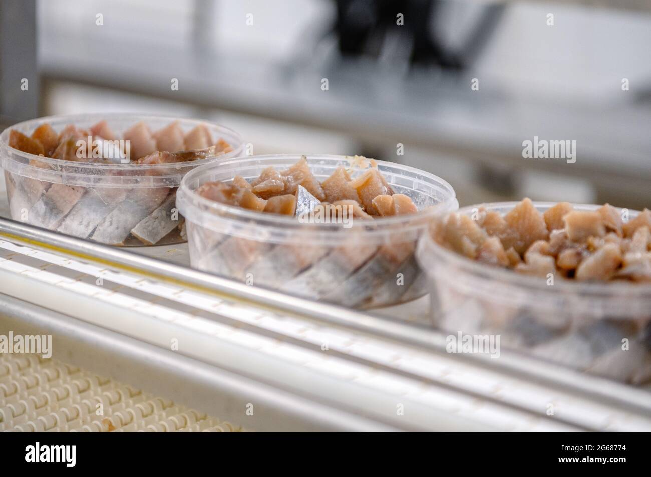 Morceaux de filet de hareng dans des bidons en plastique sur un convoyeur. Banque D'Images