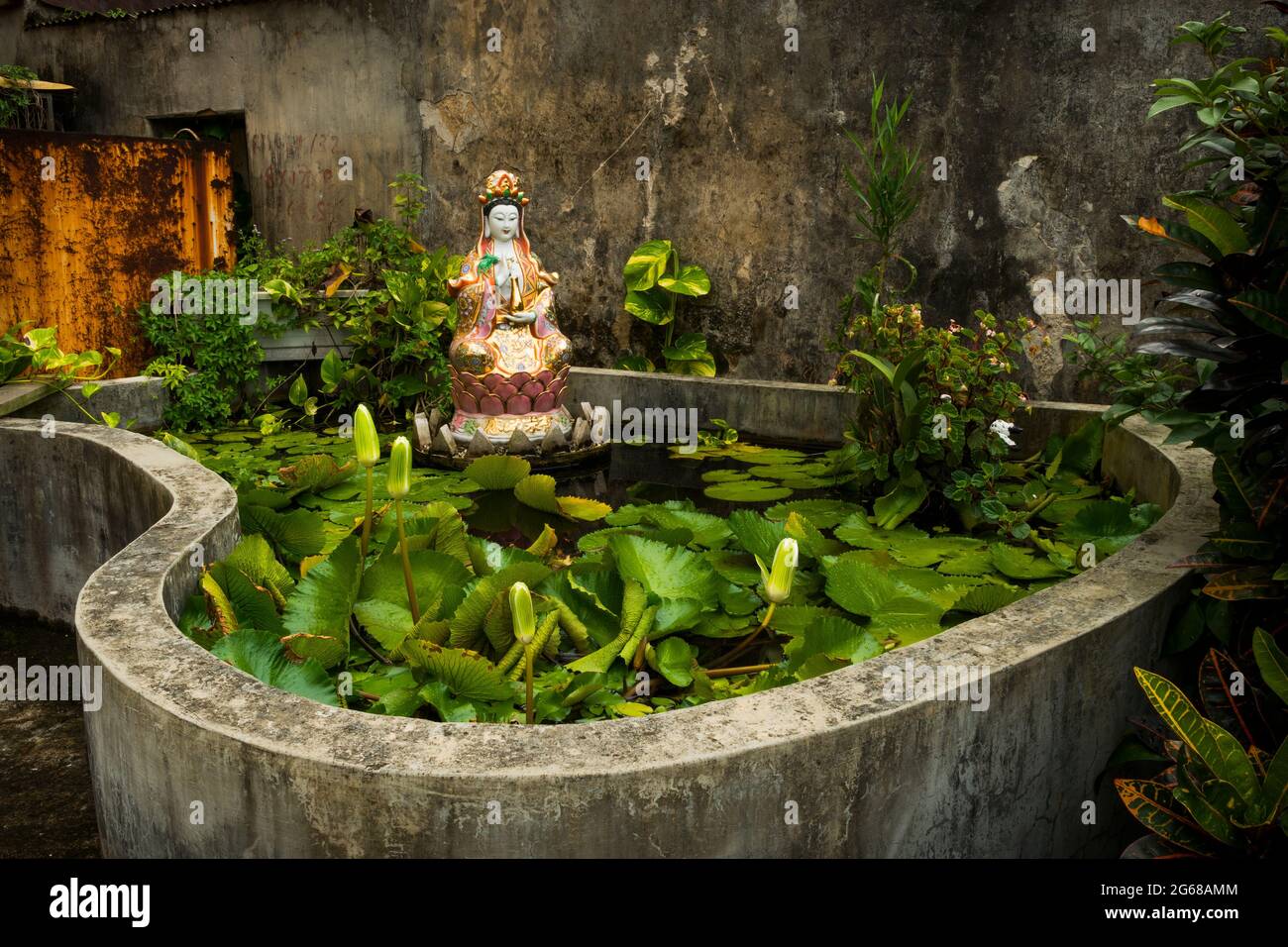 Un étang en béton fait maison avec du lotus et une statuette de Guan Yin, la déesse taoïste de Mercy, à Luk Keng, New Territories, Hong Kong Banque D'Images