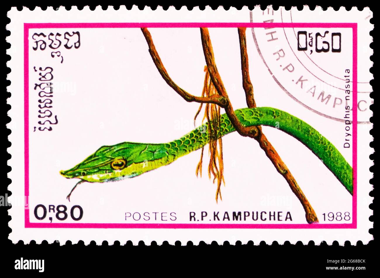 MOSCOU, RUSSIE - 29 MARS 2020: Timbre-poste imprimé à Kampuchea (Cambodge) montre le serpent asiatique à vigne (Dryophis nasuta), série de reptiles, vers 1988 Banque D'Images