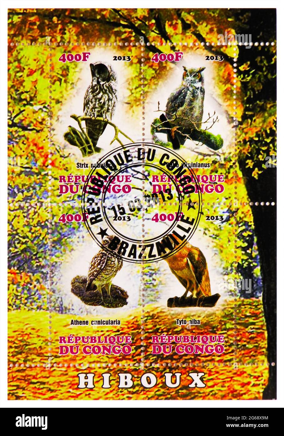 MOSCOU, RUSSIE - 28 MARS 2020 : quatre timbres-poste imprimés au Congo montrent la série Owls, vers 2013 Banque D'Images