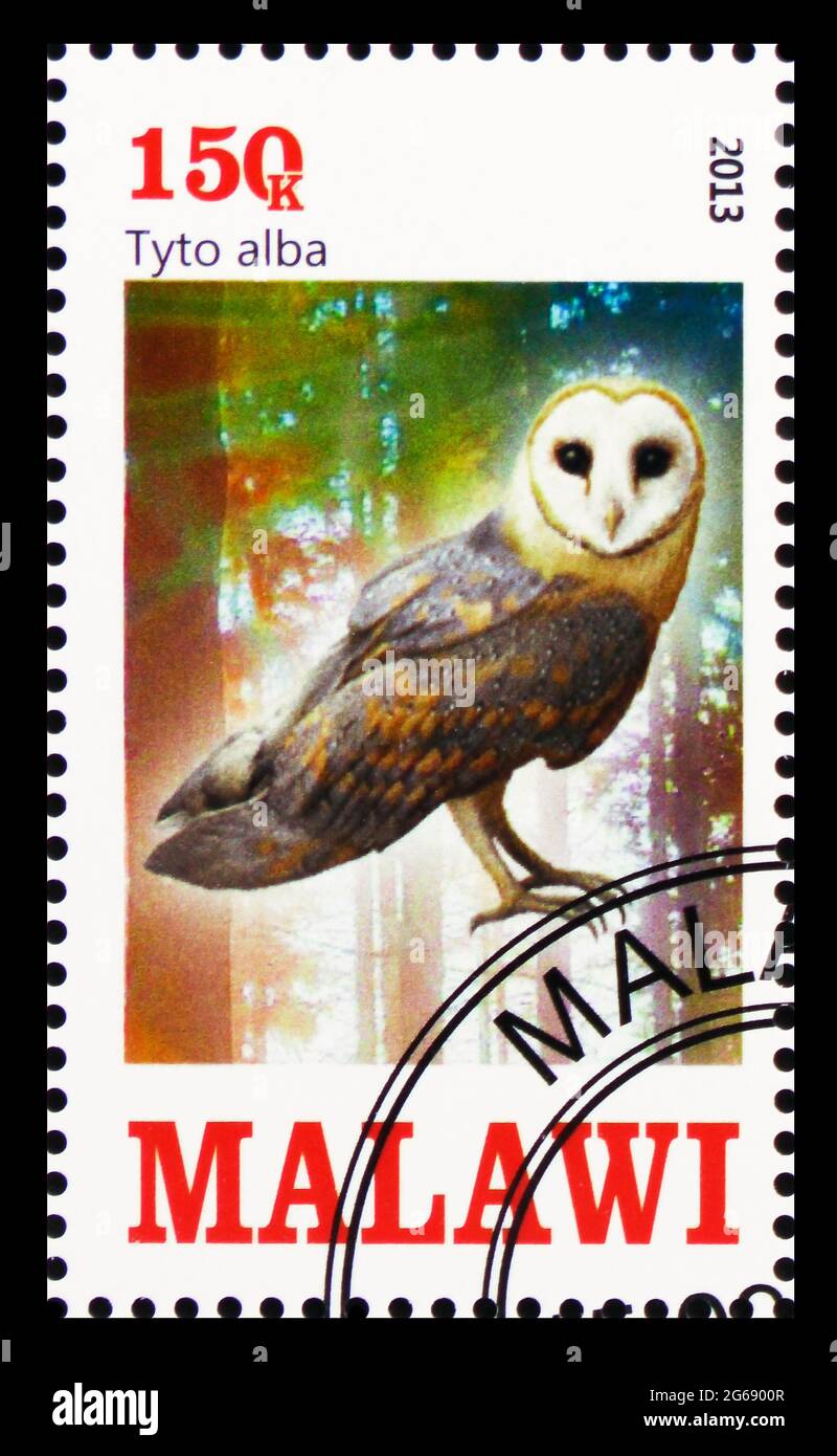 MOSCOU, RUSSIE - 28 MARS 2020: Timbre-poste imprimé au Malawi montre Tyto alba, série Owls, vers 2013 Banque D'Images MOSCOU, RUSSIE - 28 MARS 2020: Timbre-poste imprimé au Malawi montre Tyto alba, série Owls, vers 2013 Banque D'Images