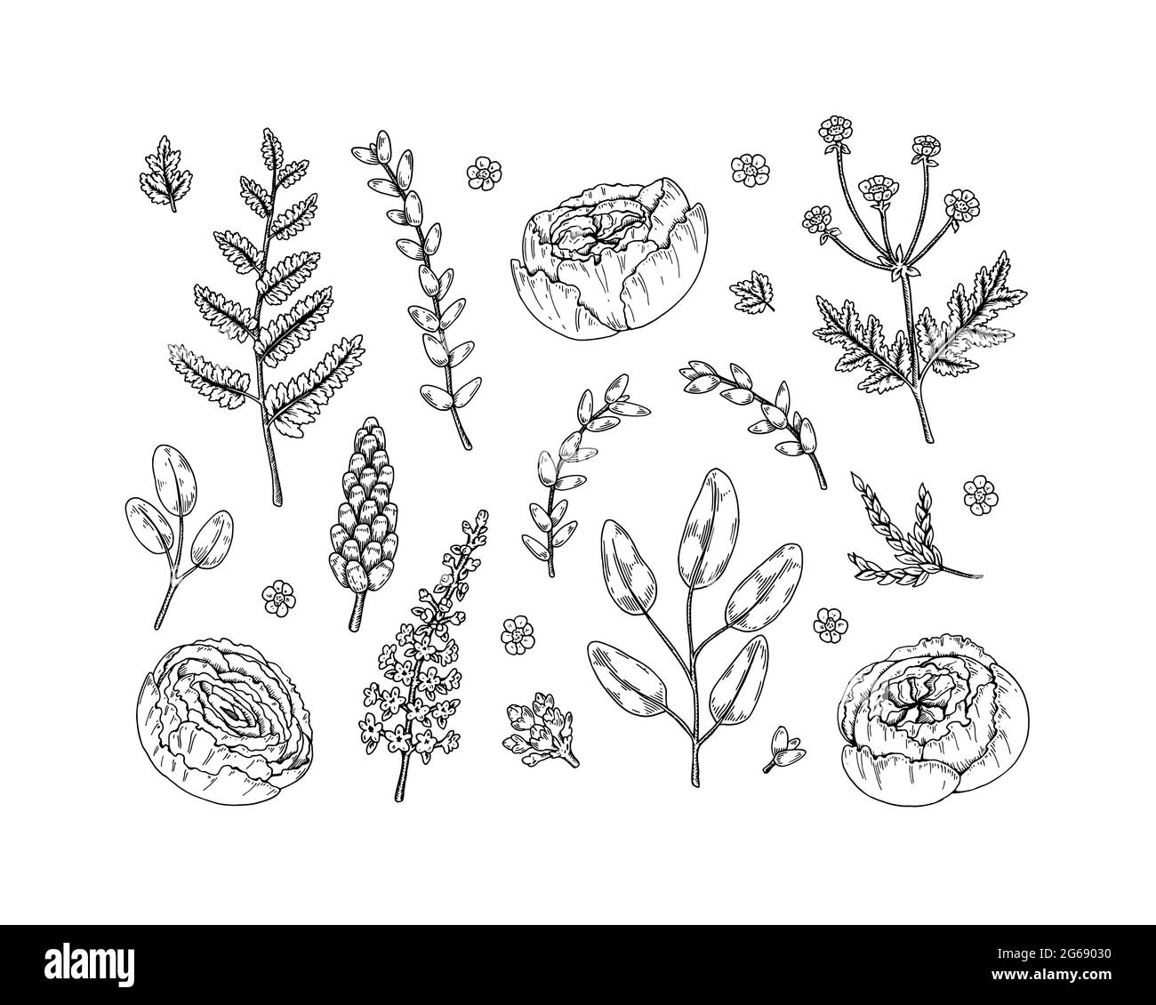 Ensemble d'éléments à motifs floraux isolés sur fond blanc. Illustration vectorielle dans le style d'esquisse Illustration de Vecteur