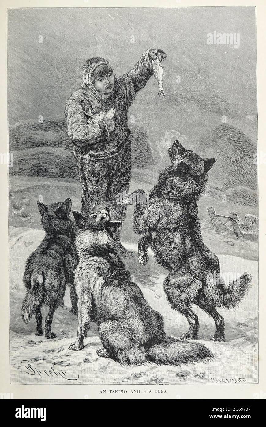 Un esquimau nourrit ses chiens du livre « Royal Natural History » Volume 1 Section II édité par Richard Lydekker, publié à Londres par Frederick Warne & Co en 1893-1894 Banque D'Images