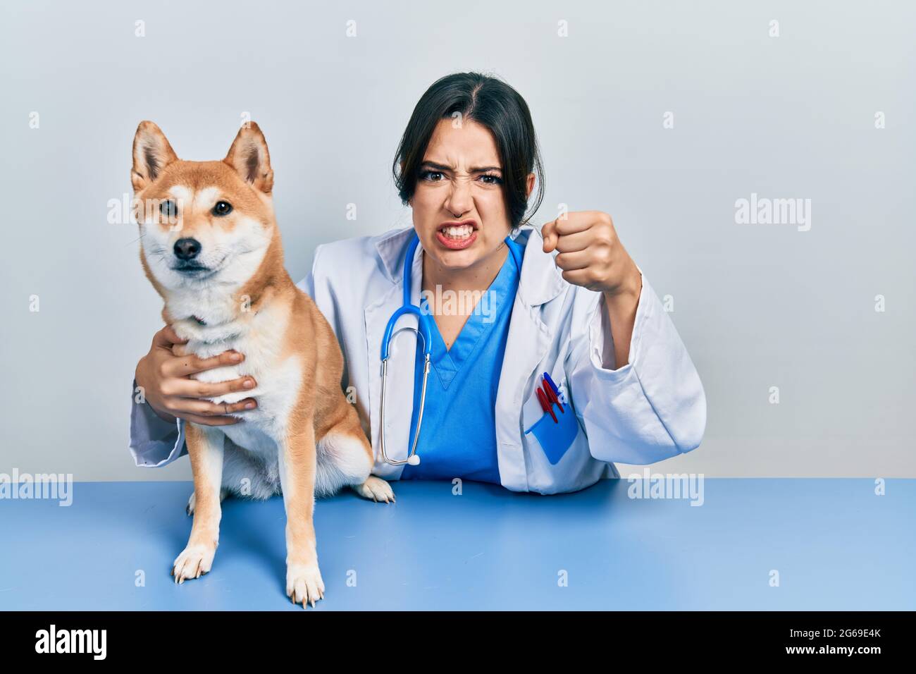 Belle femme vétérinaire hispanique vérifiant la santé de chien agacé et frustré criant avec la colère, hurlant fou avec la colère et la main levée Banque D'Images