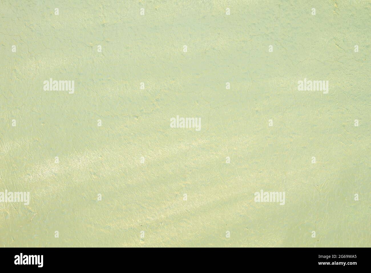 Fond ou texture peint en vert Banque D'Images