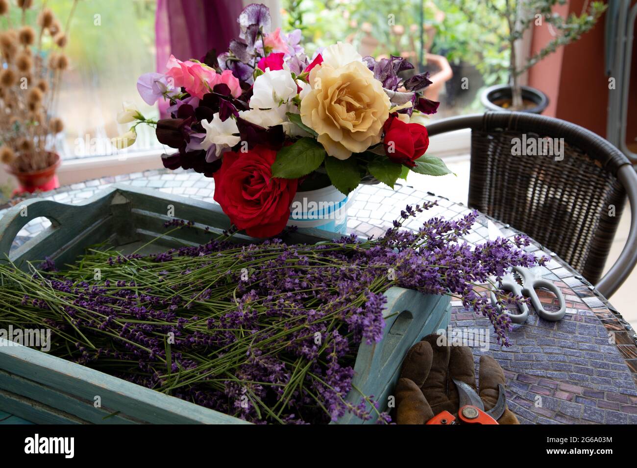 Fleurs d'été parfumées coupées du jardin Banque D'Images