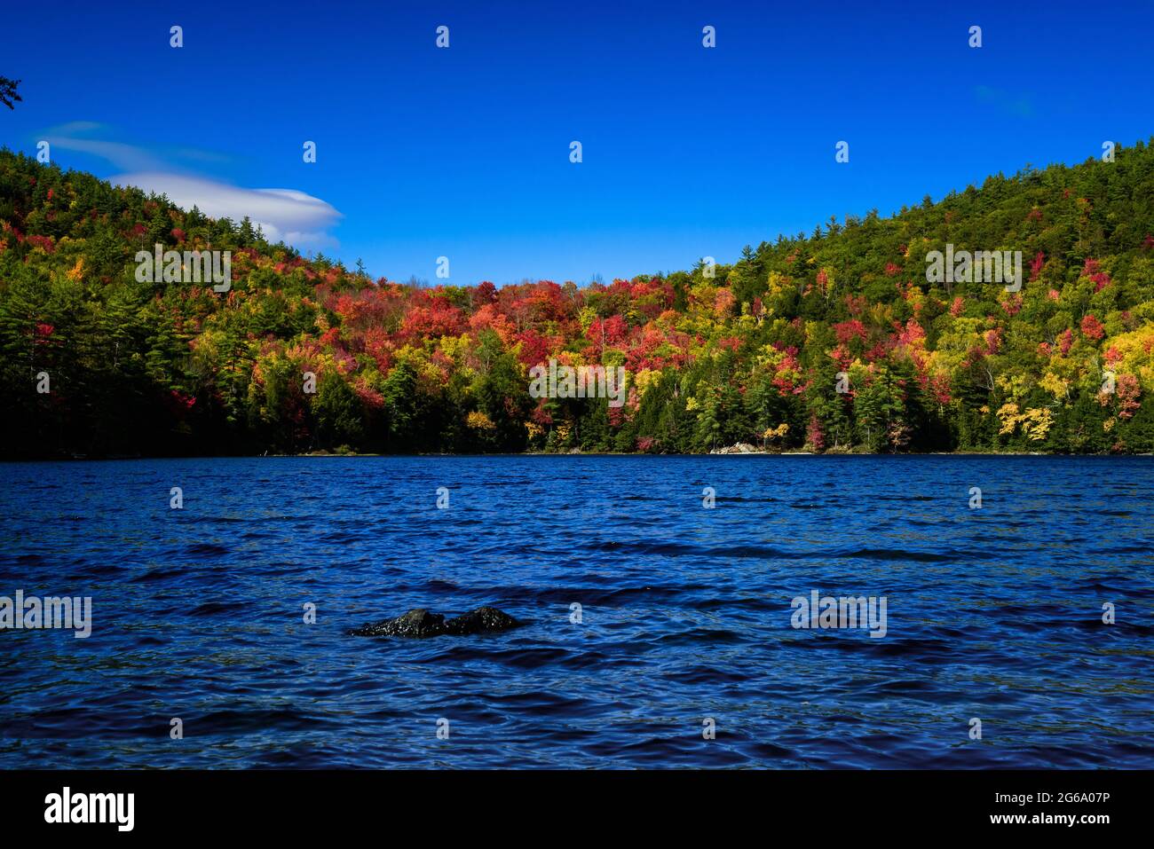 Couleurs d'étang et d'automne claires Banque D'Images