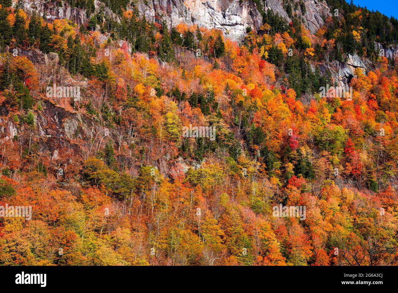 Couleur d'automne à Evan Notch dans la montagne blanche Banque D'Images