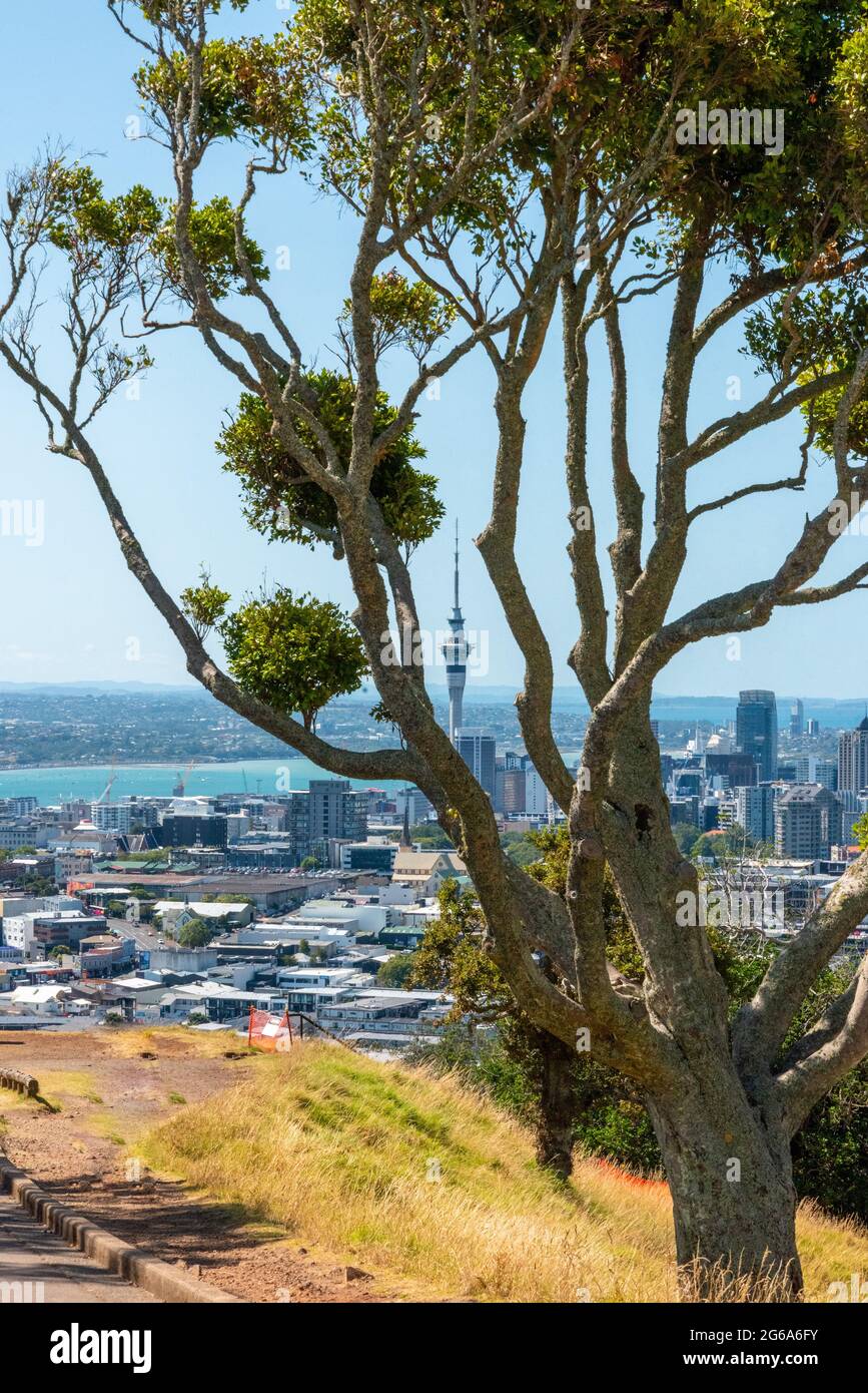 Vue sur le quartier central des affaires d'Auckland depuis le parc volcanique du Mont Eden, Nouvelle-Zélande Banque D'Images