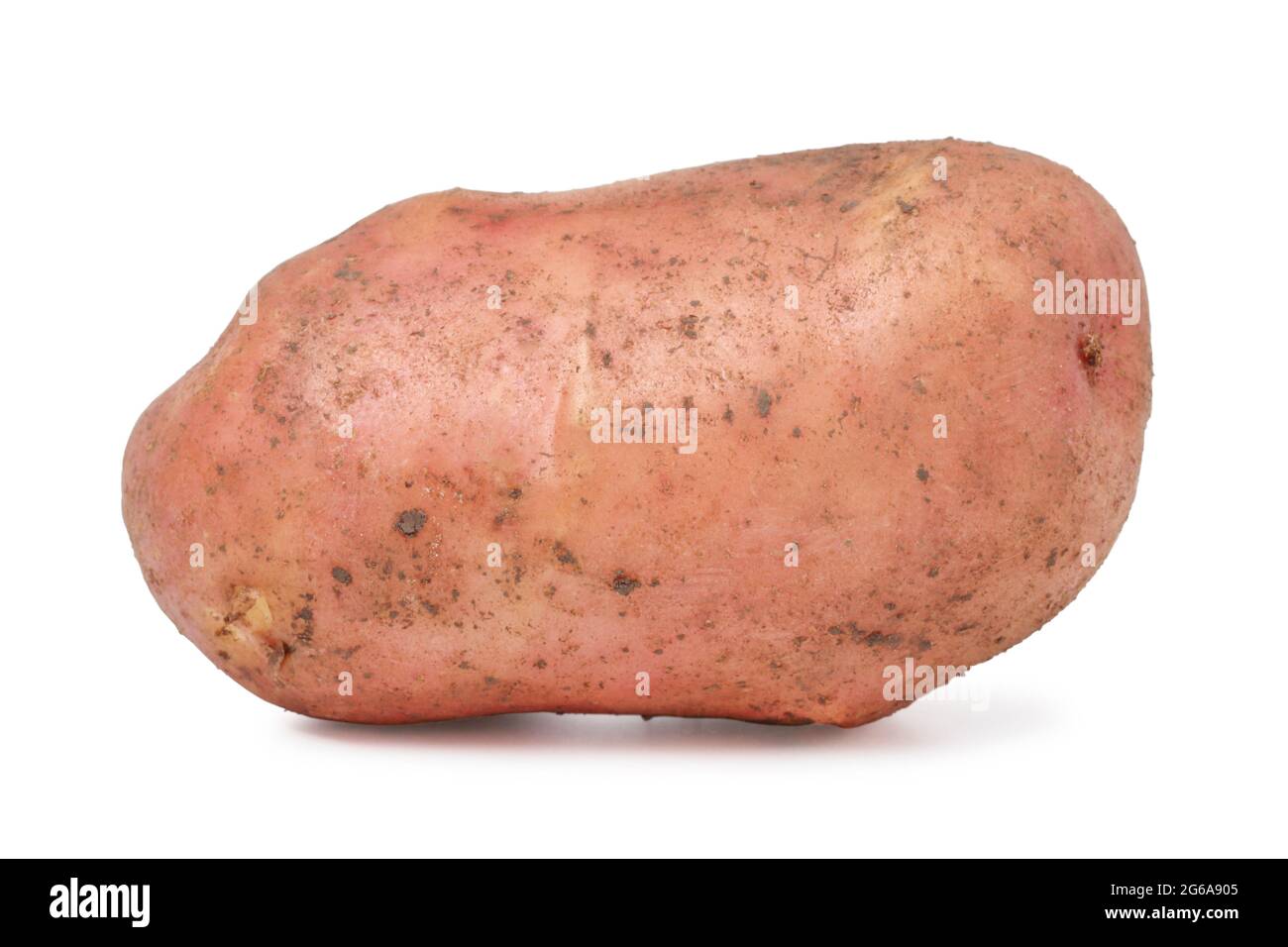 Pomme de terre rouge isolée sur blanc Banque D'Images