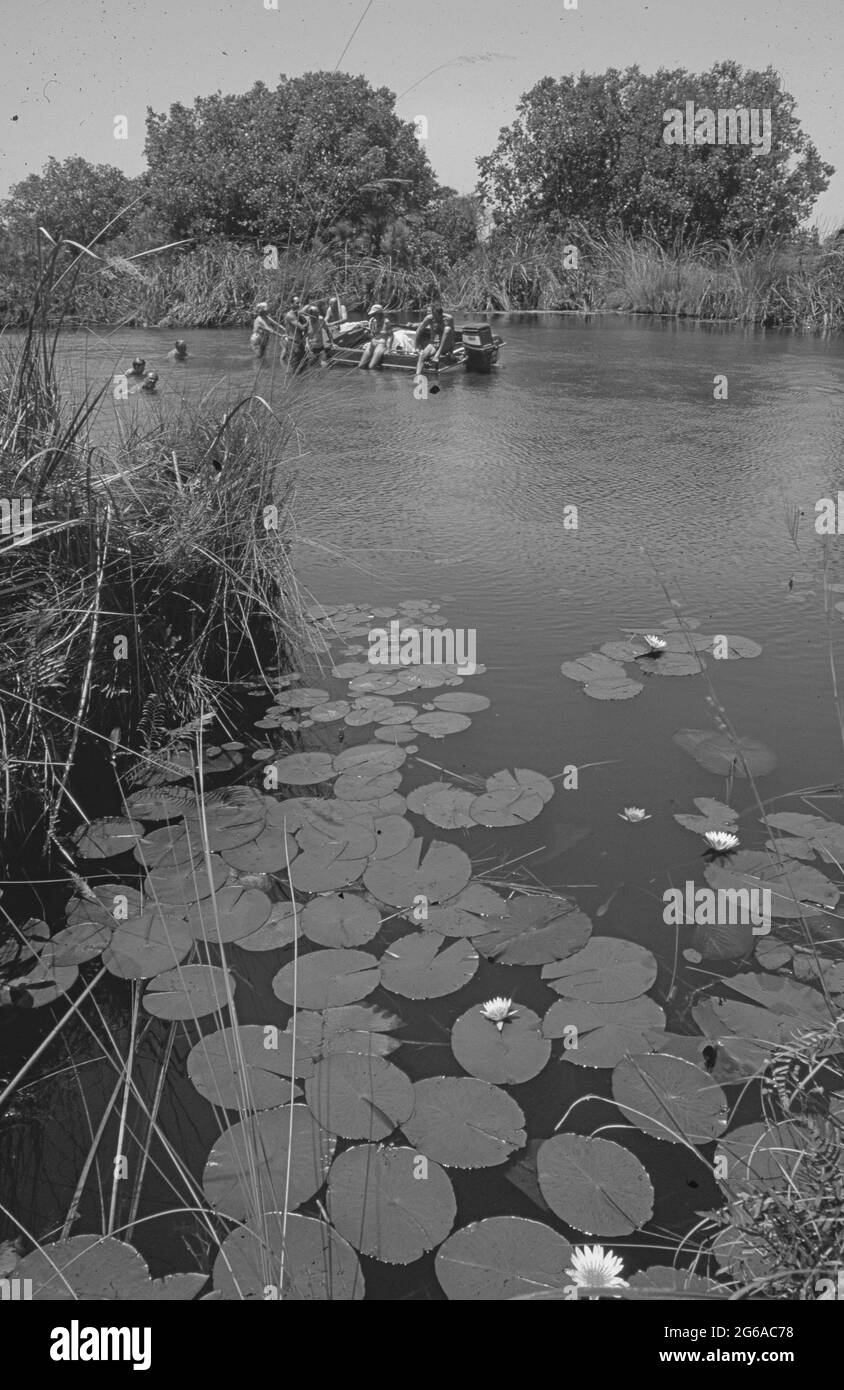 Botswana: Les gens qui prennent un bain dans les marécages du delta de l'Okavango, qui est calme dangereux à cause des crocodiles, des hippopotames, des lions, des rhinocéros et du paludisme, Banque D'Images