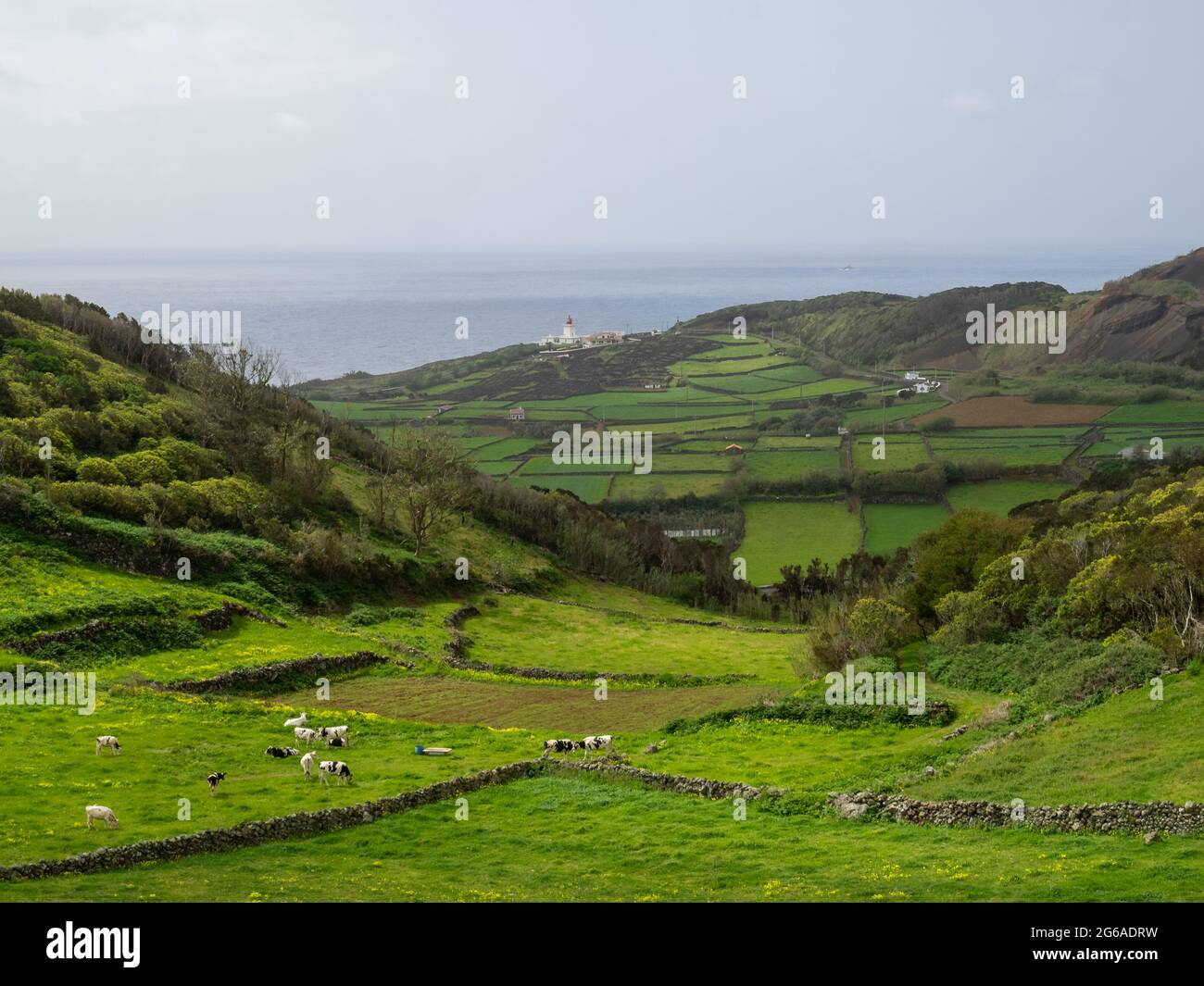 Paysage rural de l'île de Terceira et Farol das Contendas Banque D'Images